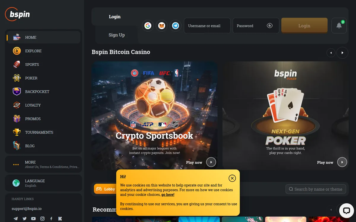 Screenshot: Bspin homepage